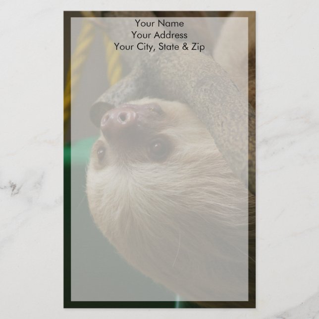 Sloth Brevpapper (Framsida)