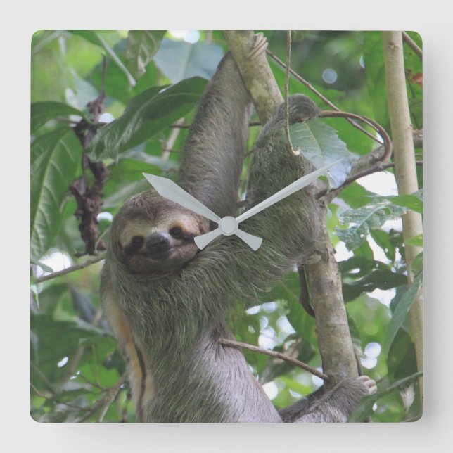 Sloth Clock Fyrkantig Klocka (Framsida)