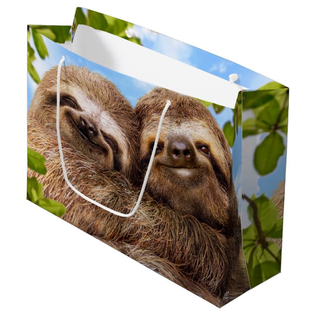 Sloth Couple (Framsidan Vinklad)