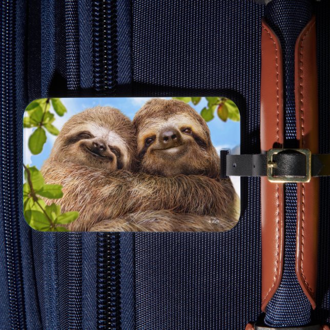 Sloth Couple Bagagebricka (Framsida Insitu 4)