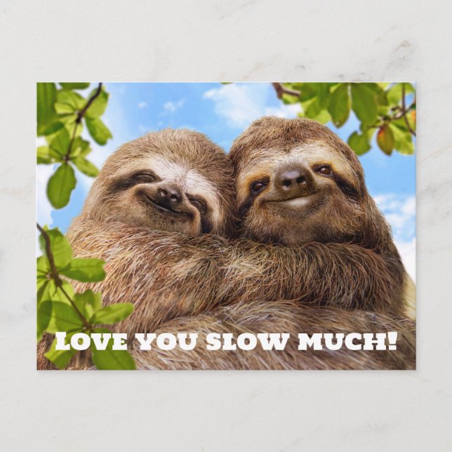 Sloth Couple Inbjudan Vykort (Framsida)
