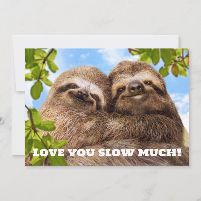 Sloth Couple Inbjudningar (Framsida)