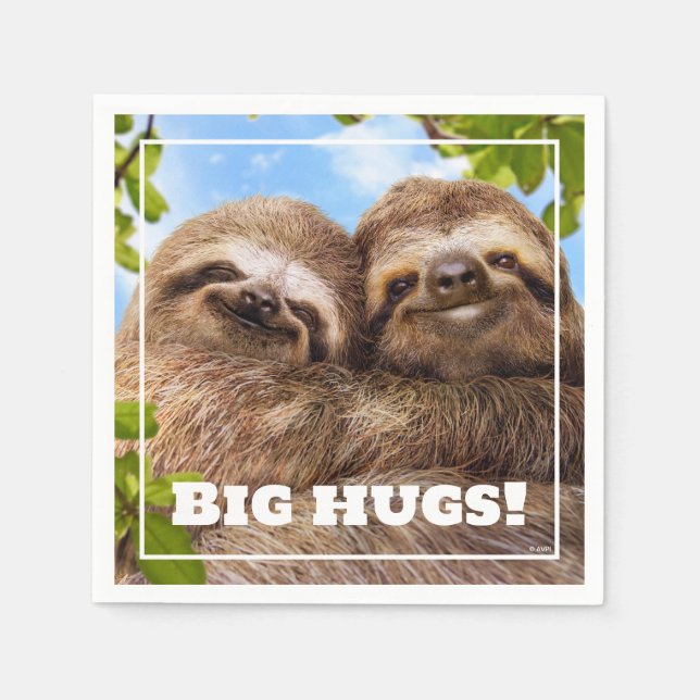Sloth Couple Pappersservett (Framsidan)