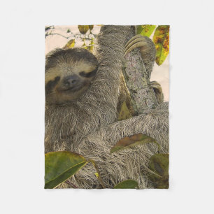 sloth fleecefilt