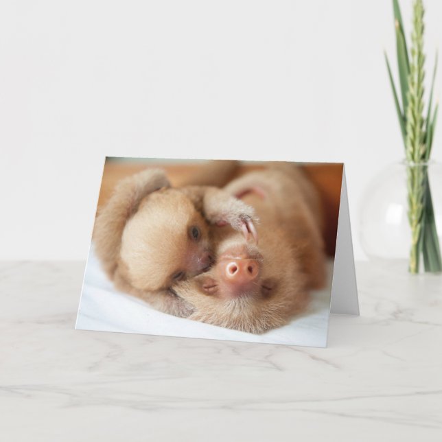 Sloth Greeting Card Kort (Framsida)