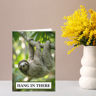 Sloth Hang In There Encouragement Kort