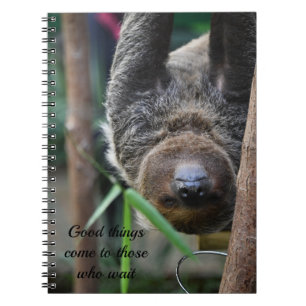 Sloth Hanging Out Edinburgh Zoo Card Anteckningsbok