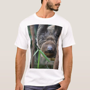 Sloth Hanging Out Edinburgh Zoo T Shirt
