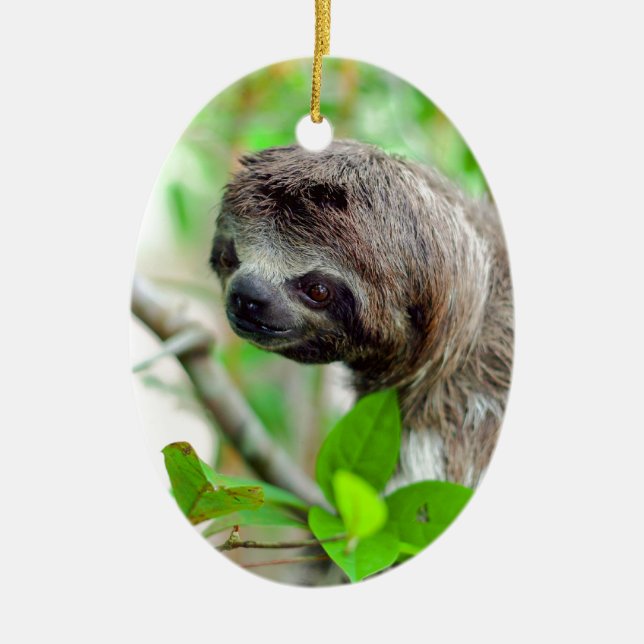 Sloth i träd Nicaragua Julgransprydnad Keramik (Framsidan)
