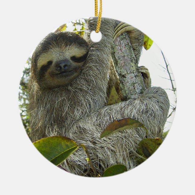 Sloth Julgransprydnad Keramik (Framsidan)