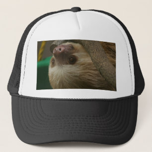 Sloth Keps