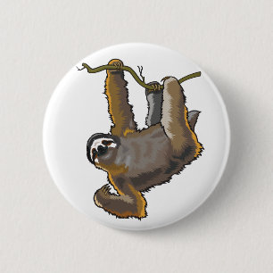 sloth knapp