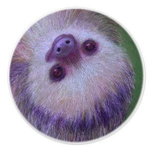 Sloth Knopp