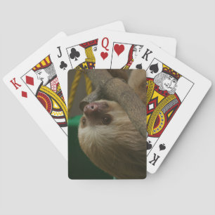 Sloth Kortlek