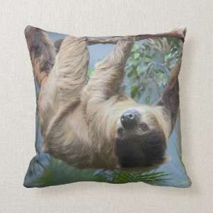 Sloth Kudde