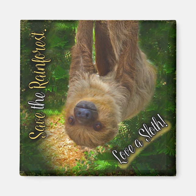 Sloth Magnet (Framsidan)