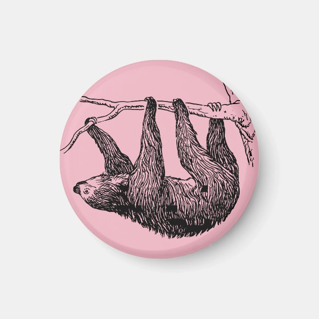 Sloth Magnet (Framsidan)