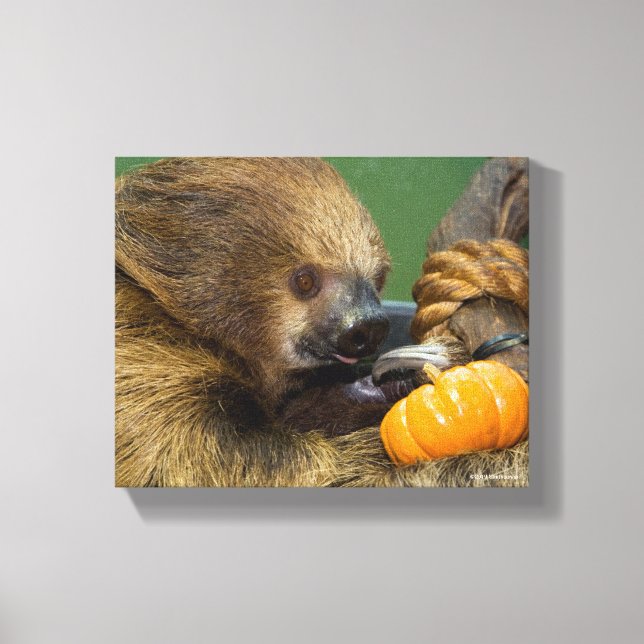 Sloth med Pumpkin Canvastryck (Framsida)