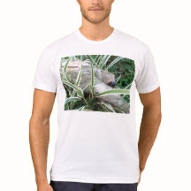 sloth med stylized tillbaka pix