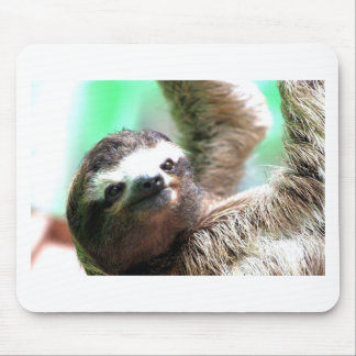 Sloth Mousepad Musmatta