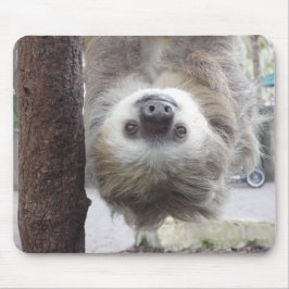 Sloth Mousepad Musmatta