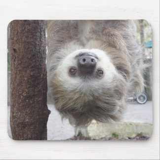 Sloth Mousepad Musmatta