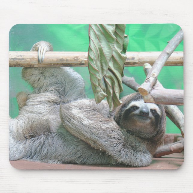Sloth Mousepad Musmatta (Framsidan)