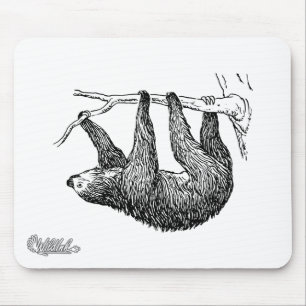 Sloth Musmatta