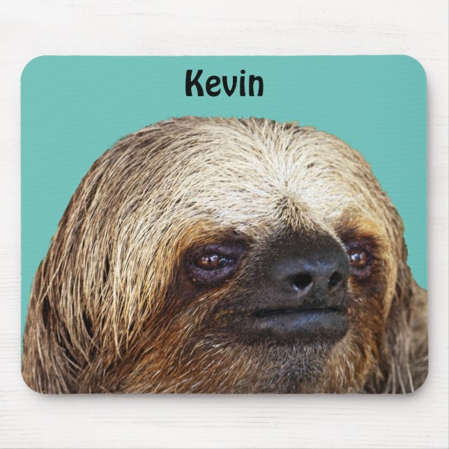 Sloth Musmatta (Framsidan)
