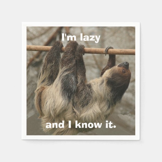 Sloth Pappersservett (Framsidan)