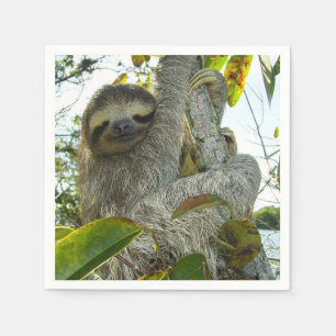Sloth Pappersservett