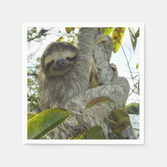 Sloth Pappersservett (Framsidan)