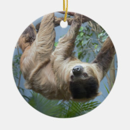 Sloth Photo Julgransprydnad Keramik