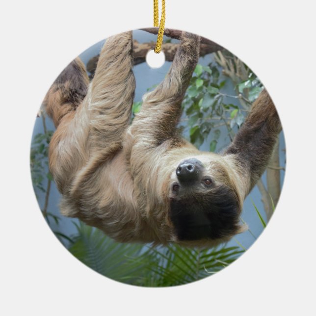 Sloth Photo Julgransprydnad Keramik (Framsidan)