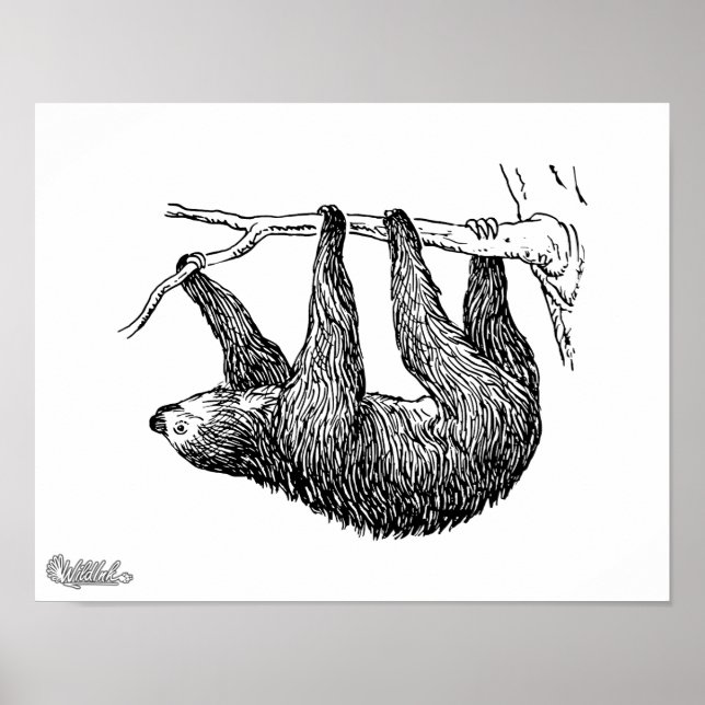 Sloth Poster (Framsidan)