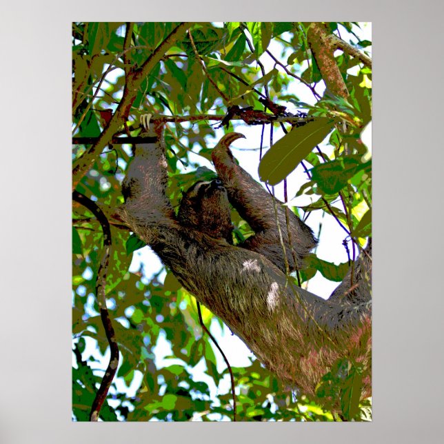 Sloth Poster (Framsidan)