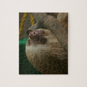 Sloth Pussel
