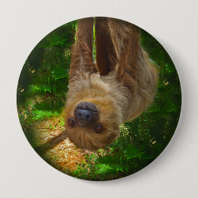 Sloth Rainforest Button Knapp (Framsida)