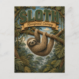 Sloth Rainforest Canopy POPCUT Vykort