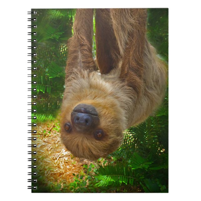 Sloth Rainforest Gifts Anteckningsbok Med Spiral (Framsidan)