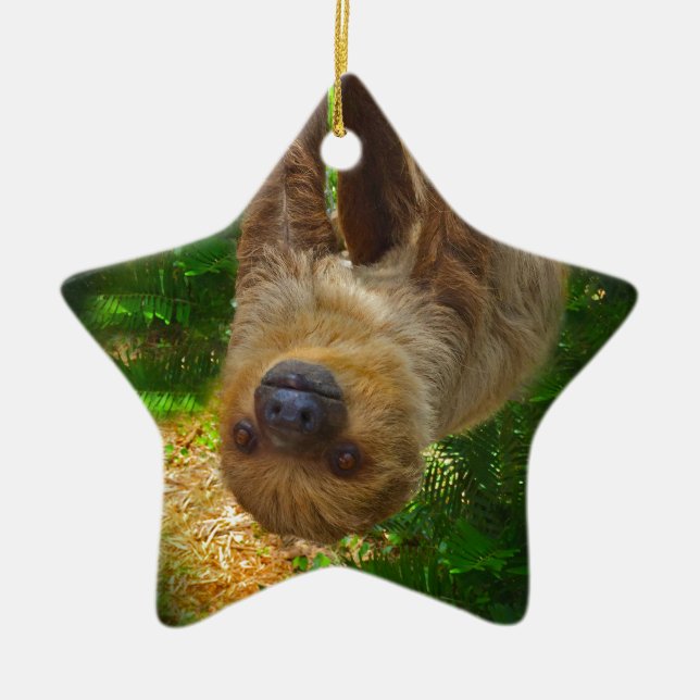 Sloth Rainforest Gifts Julgransprydnad Keramik (Framsidan)
