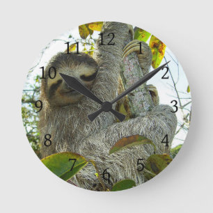 Sloth Rund Klocka