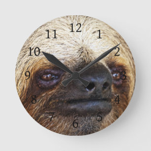 Sloth Rund Klocka