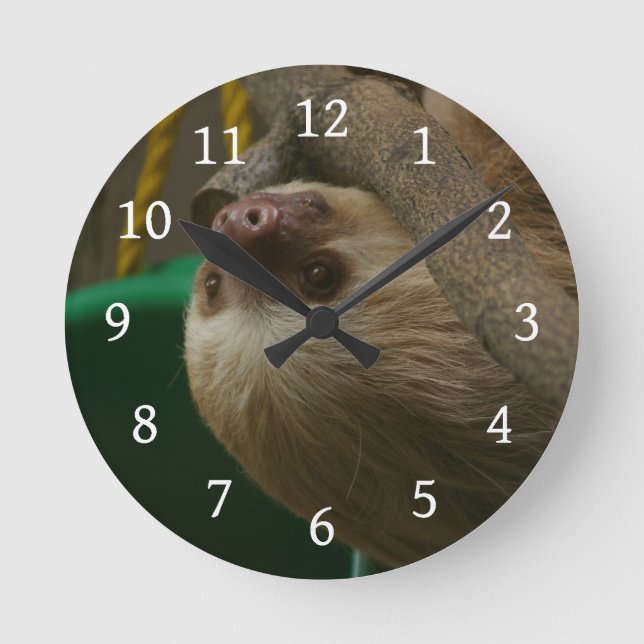 Sloth Rund Klocka (Framsida)