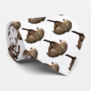 Sloth Slips