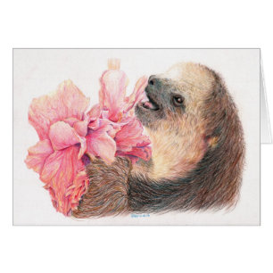 Sloth som äter hibiskusblomman hälsningskort