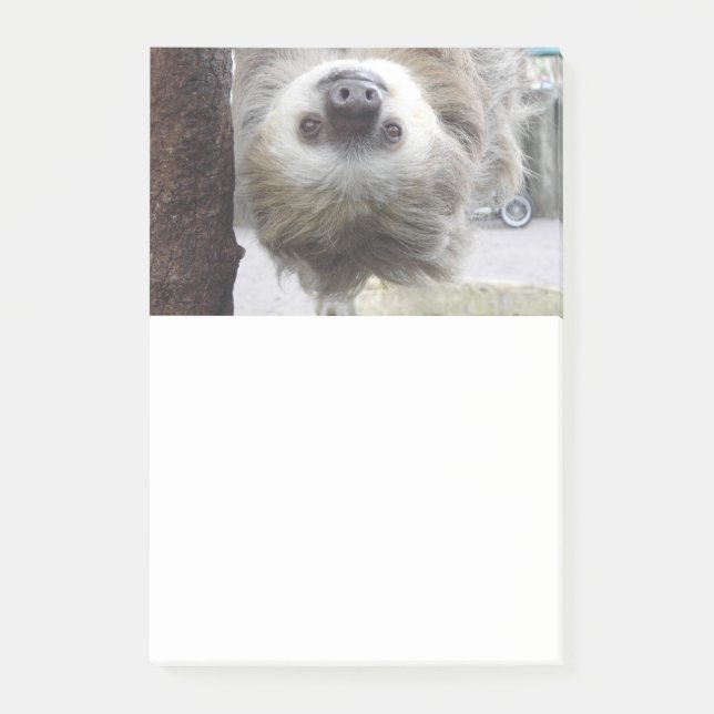 Sloth som Posta-Det noterar Post-it Block (Framsida)