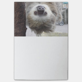 Sloth som Posta-Det noterar Post-it Block