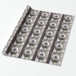 Sloth som slår in papper presentpapper