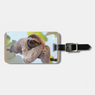 Sloth som vilar på trädgren bagagebricka